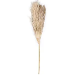 Vickerman 46" Dried Natural Pampas Grass, 6 pieces per Pack