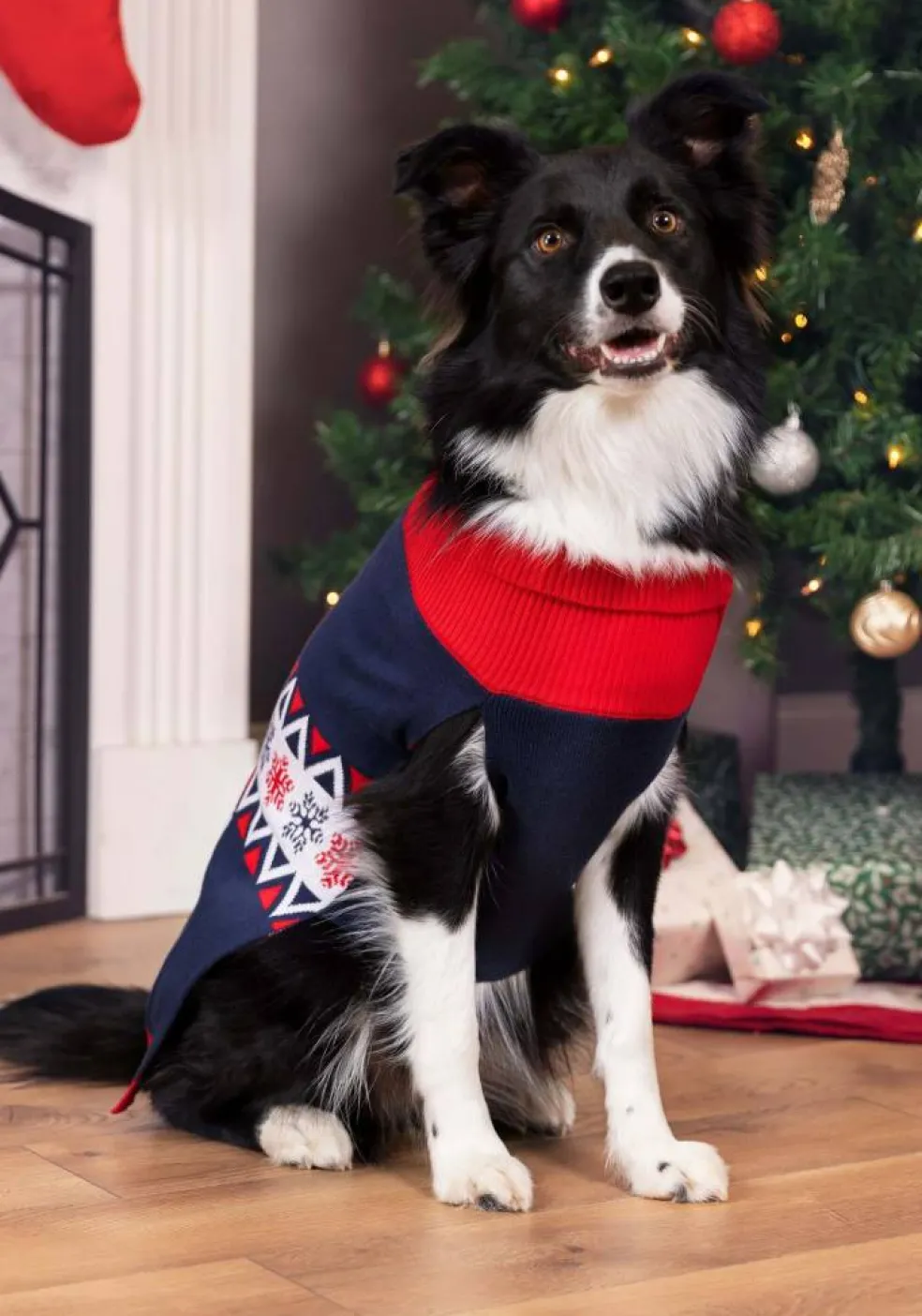 Vintage Santa Pet Sweater