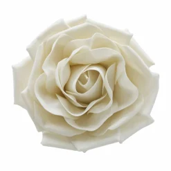 Wall Flower by Ashland®