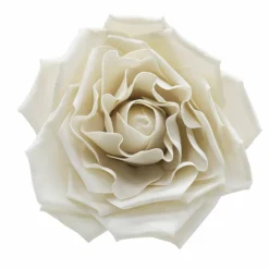 Wall Flower by Ashland®