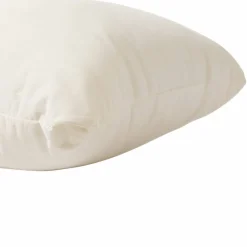 Weather Soft™ Indoor & Outdoor Pillow Insert, 20