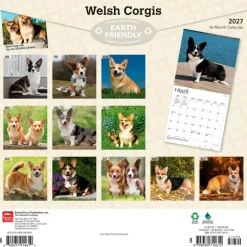 Welsh Corgis | 2027 12 x 24 Inch (Hanging) Monthly Square Wall Calendar | Plastic-Free
