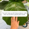 We The Wild™ Houseplant Essentials Kit Organic Easy 3-Step Care