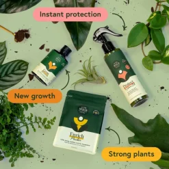 We The Wild™ Houseplant Essentials Kit Organic Easy 3-Step Care