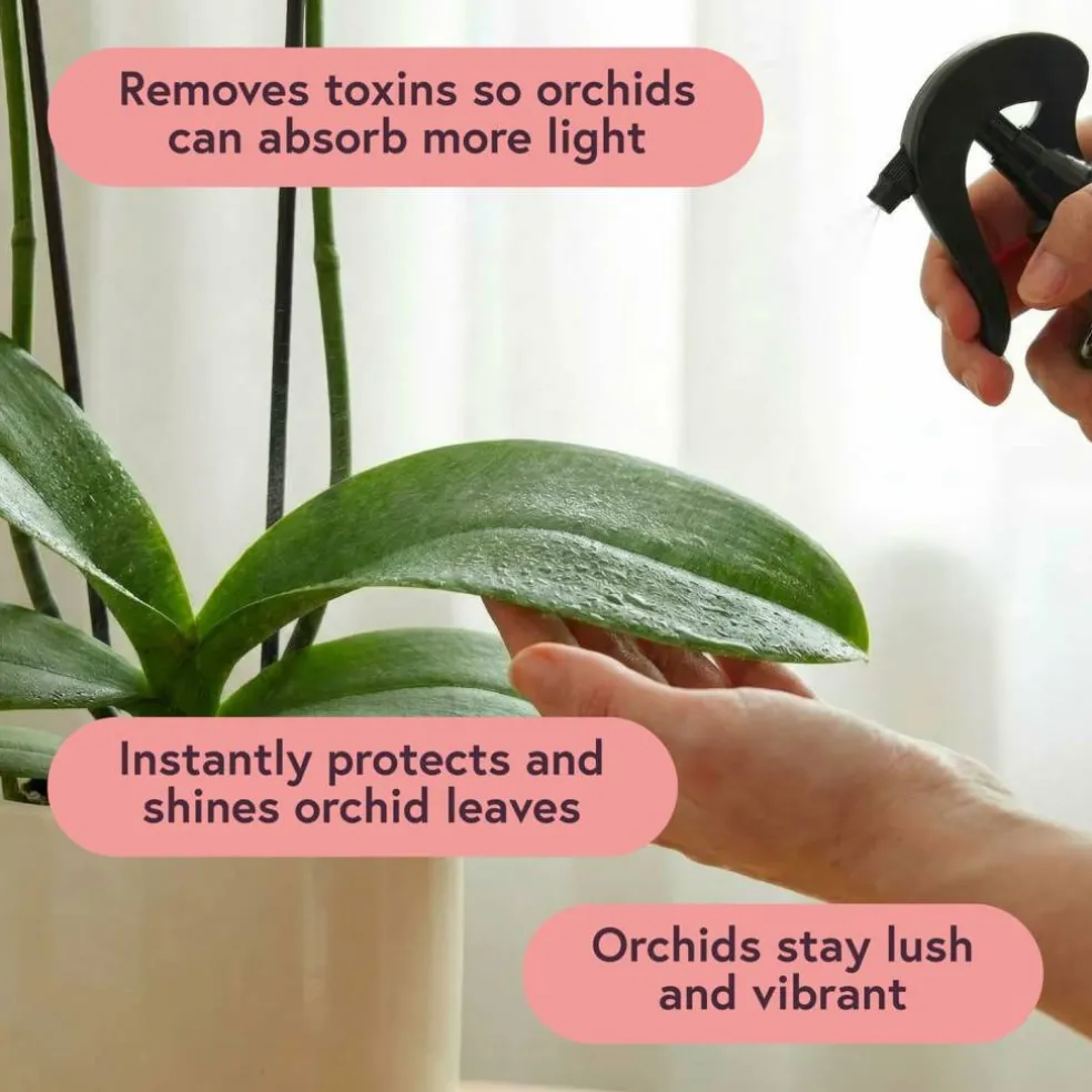 We The Wild™ Orchid Care Essentials Kit