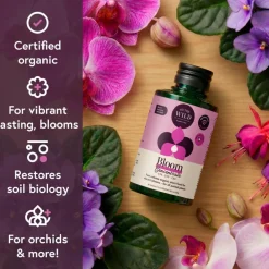 We The Wild™ Orchid Care Essentials Kit