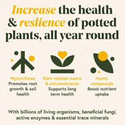 We The WIld™ 8.8oz. Enrich Powder Slow-Release Organic Soil Amendment & Plant Food for Houseplants