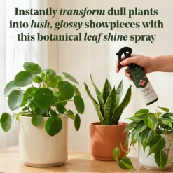 We The Wild™ 8.5oz. Protect Spray Organic Botanical Leaf Shine & Care for Houseplants
