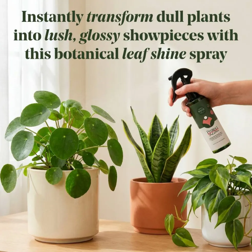 We The Wild™ 8.5oz. Protect Spray Organic Botanical Leaf Shine & Care for Houseplants