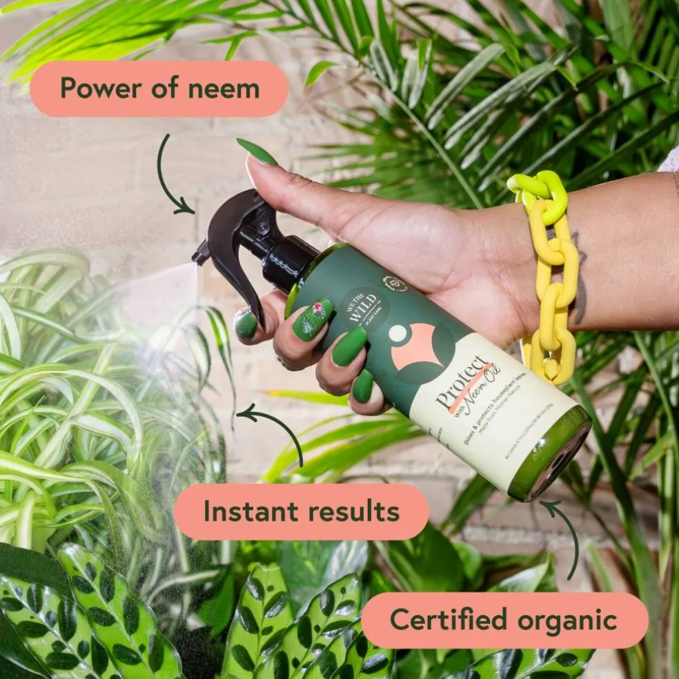 We The Wild™ Proud Plant Mum Leaf Care Kit