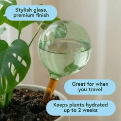 We The Wild™ Self-Watering Plant Globes