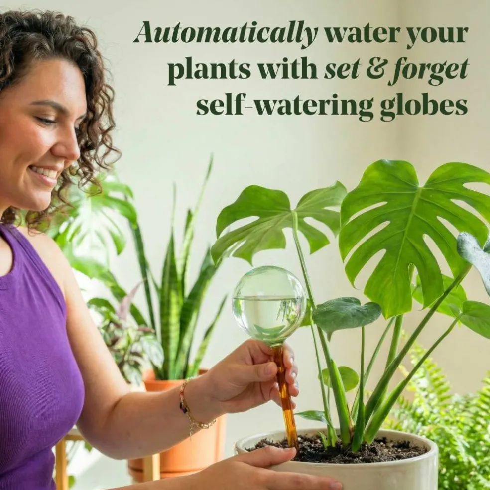 We The Wild™ Self-Watering Plant Globes