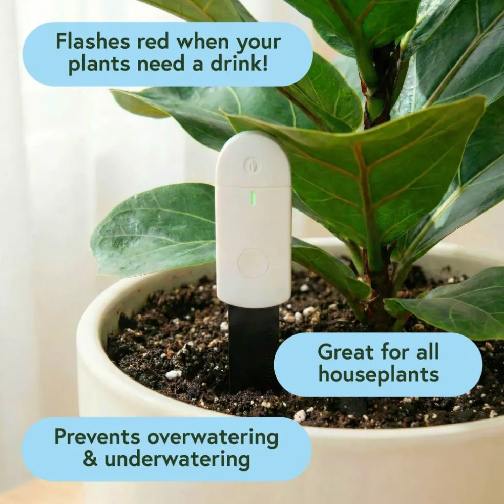 We The Wild™ Soil Moisture Meter