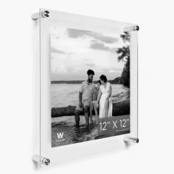 Wexel Art Double Panel Clear Acrylic Floating Wall Frame with Silver Hardware