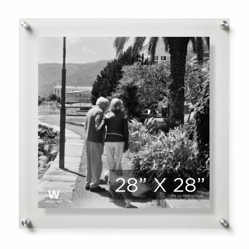 Wexel Art Double Panel Clear Acrylic Floating Wall Frame with Silver Hardware
