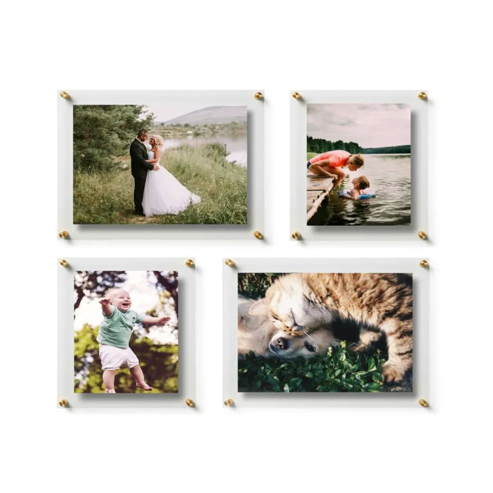 Wexel Art Gallery Wall Double Panel Acrylic Floating Frames Set of 4