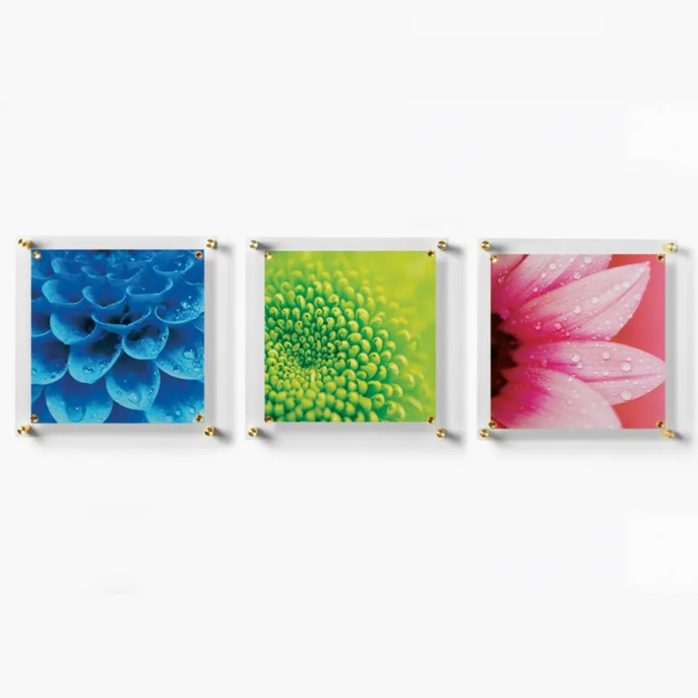 Wexel Art 3 Pack 12" x 12" Clear Single Panel Acrylic Floating Wall Frames & Magnets