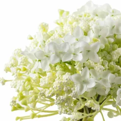 10" White Baby's Breath Bundle by Ashland®