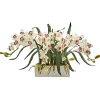 15" White Boat Orchid Arrangement in White Vase