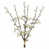 White & Brown Winter Berry Twig Bundle, 6ct.