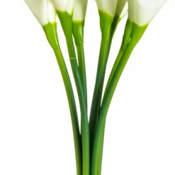 White Calla Lily Bundle