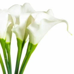White Calla Lily Bundle