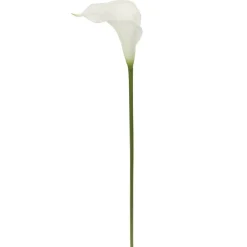 White Calla Lily Stem by Ashland®