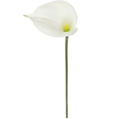 White Calla Lily Stem by Ashland®