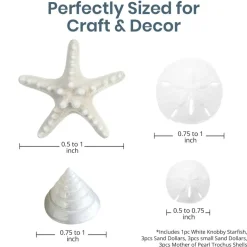 White Nautical Shell Mix Small 12 Piece Mix of White Knobby Starfish, Sand Dollars, Mother of Pearl Turbo Shells for Crafts