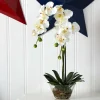 18" White Orchid Arrangement in Glass Vase