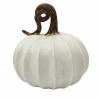 8" White Pumpkin Tabletop Décor by Ashland®