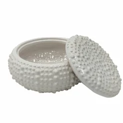 7.5" White Shell Ceramic Decorative Box by Ashland®