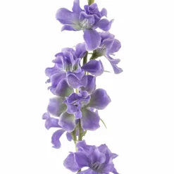 Wild Delphinium Spray by Ashland®