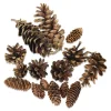 Winter Woods Pine Cones - Mixed Pine Cones, 16 Pieces