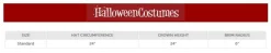 Women's Gertrude Witch Costume Hat