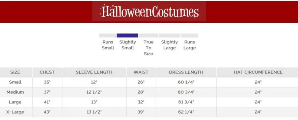 Women's Midnight Purple Witch Costume
