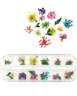 Wrapables Real Dry Flowers Nail Art 3d Flower Nail Decals Nail Manicure with Plastic Case (Set of 12), Sprig