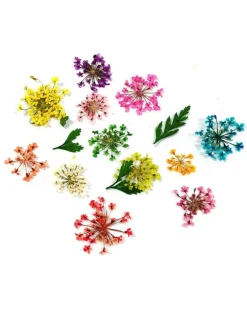 Wrapables Real Dry Flowers Nail Art 3d Flower Nail Decals Nail Manicure with Plastic Case (Set of 12), Sprig