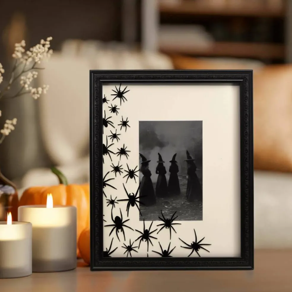 4" x 6" Black Spiders Tabletop Frame with Mat by Ashland®