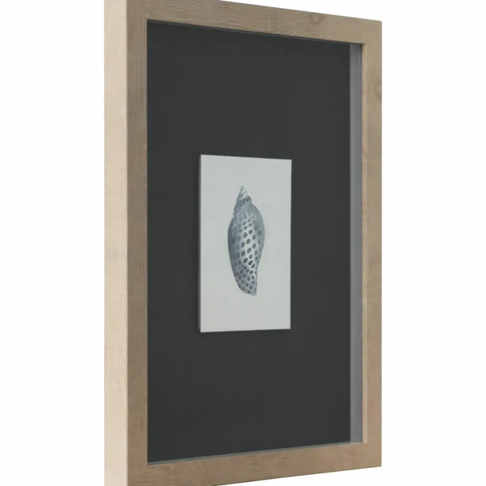 11" x 14" Blue Spotted Shell Art Wall Décor by Ashland®