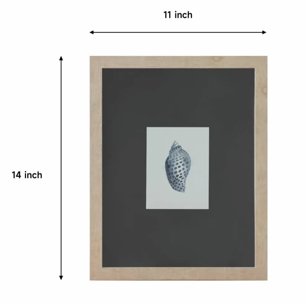 11" x 14" Blue Spotted Shell Art Wall Décor by Ashland®
