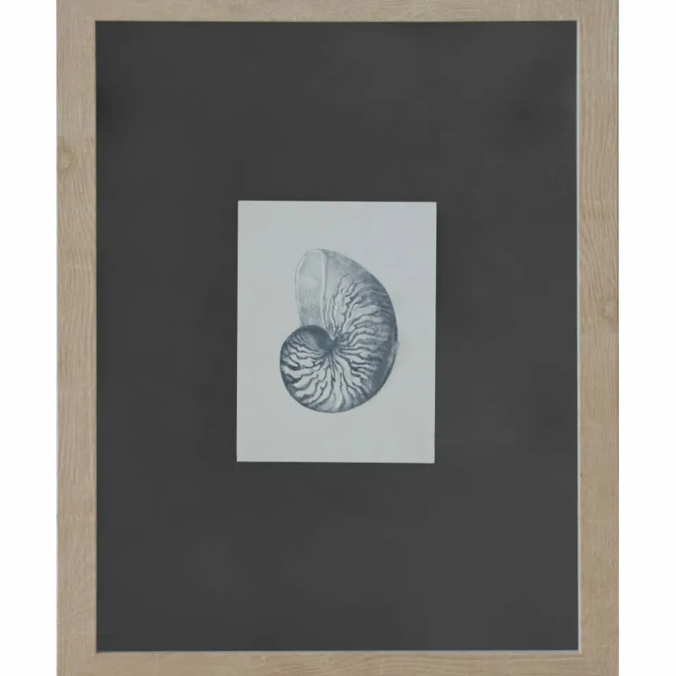 11" x 14" Blue Striped Shell Art Wall Décor by Ashland®