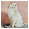 6" x 6" Cat Tabletop Décor by Ashland®