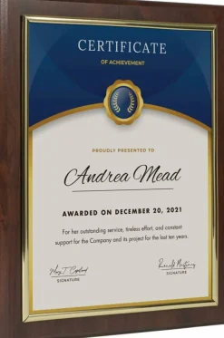10.5 x 13" Certificate Display Plaque - Offered in Coated Cherry Wood with an 8.5 x 11" Gold Frame - Slide in Your Diploma, Award Certificate, Award of Achievement, Class Photo, and More