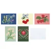 5" x 7" Cherry & Botanical Card & Envelope Sets, 50ct. by Recollections™