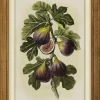 7" x 11.5" Fig Wall Art Décor by Ashland®