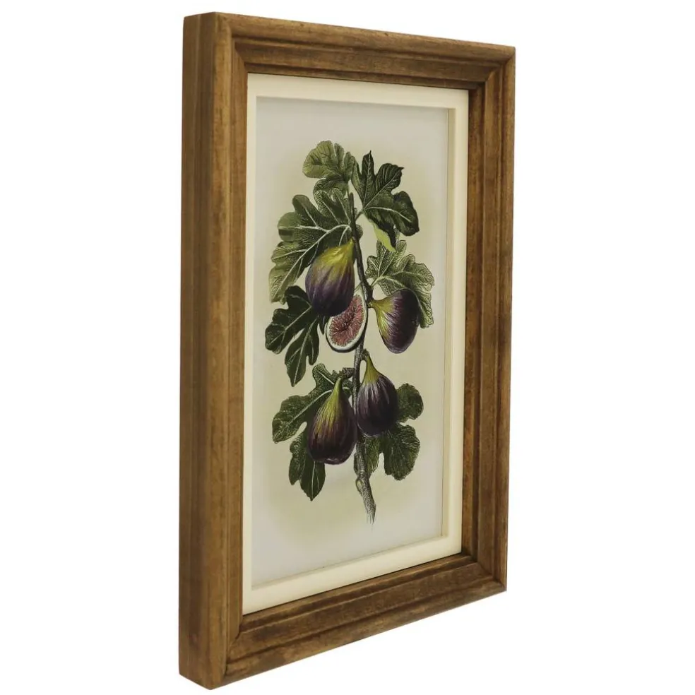 7" x 11.5" Fig Wall Art Décor by Ashland®