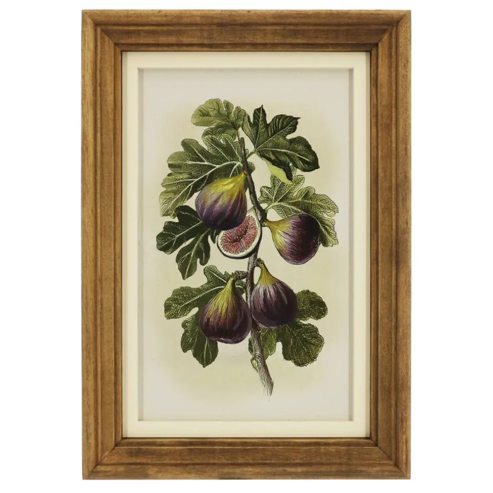 7" x 11.5" Fig Wall Art Décor by Ashland®