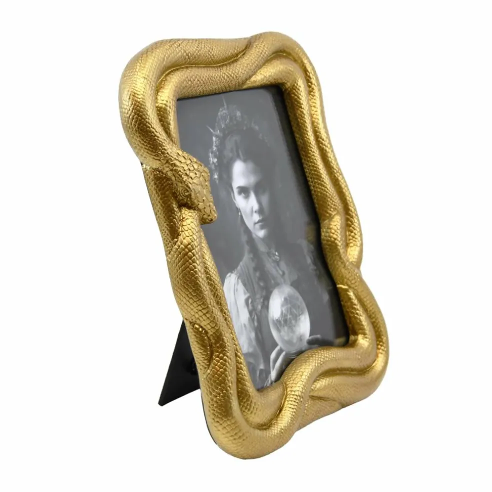 5" x 7" Gold Snake Tabletop Frame by Ashland®