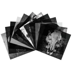 8" x 8" Haunted Halloween Acetate Pad by Recollections™, 24 Sheets